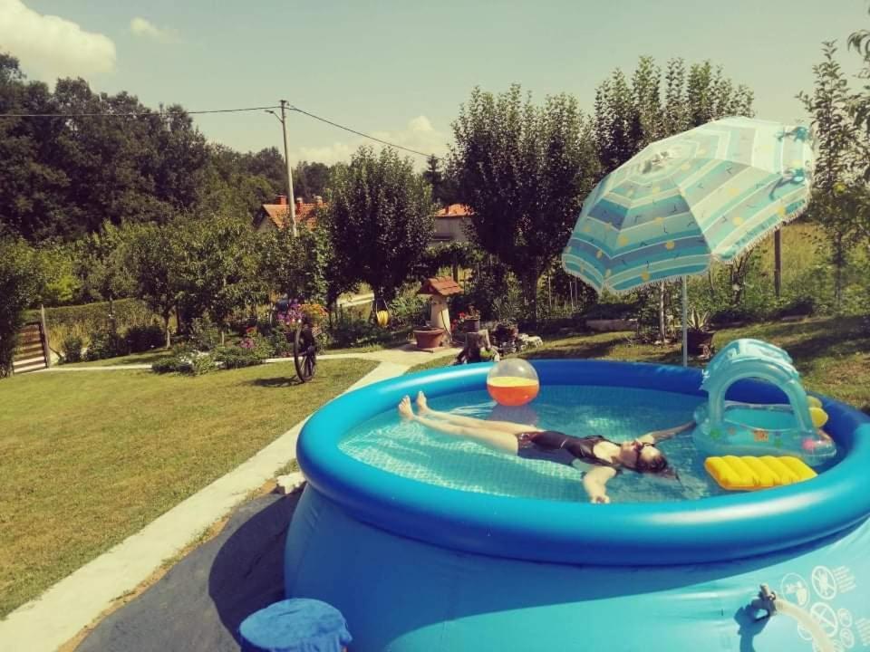"Porodica Markovic" Borsko Jezero Beljevina Luaran gambar
