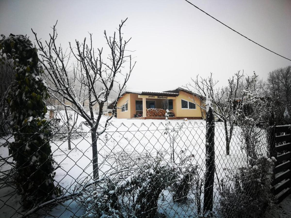 "Porodica Markovic" Borsko Jezero Beljevina Luaran gambar